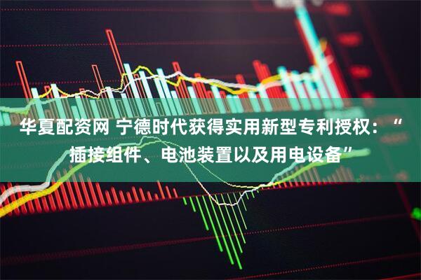 华夏配资网 宁德时代获得实用新型专利授权：“插接组件、电池装置以及用电设备”